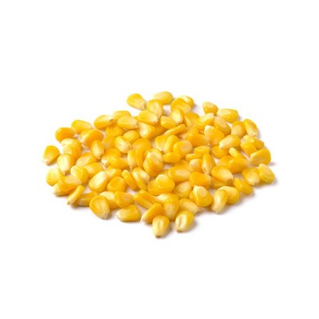 Popcorn
