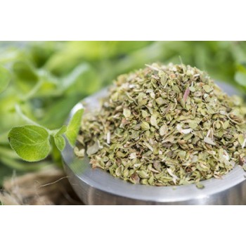 Oregano